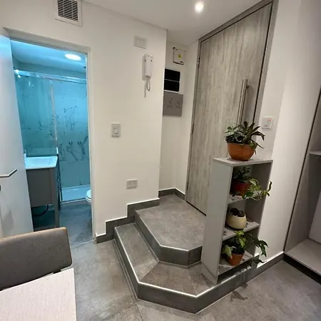 Departamentos En Palermo Soho Apartment Buenos Aires Room photo